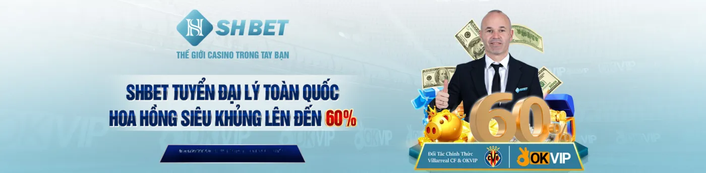 banner shbet
