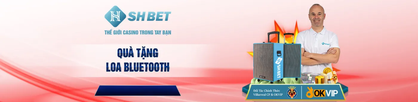 banner shbet